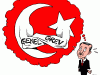 raid-on-occupy-taksim-park-in-istambul-turkey-f