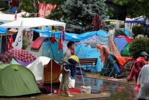 gezi-zileli