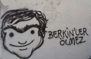 berkin_510